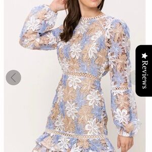 Chic Long Sleeve Lace Dress in Blue and Beige